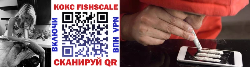 Купить закладки Заинск COCAIN FishScale