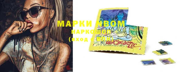 стафф Каменка