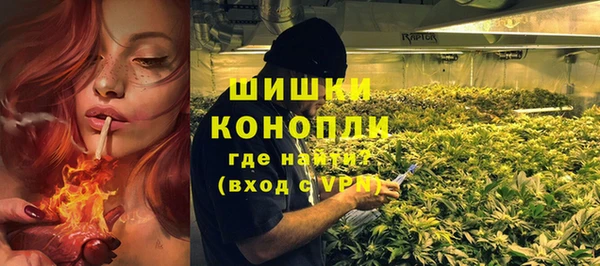 стафф Каменка