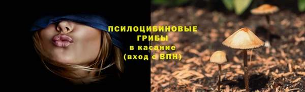 синтетический гашиш Каменногорск