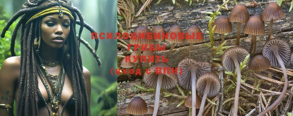 синтетический гашиш Каменногорск
