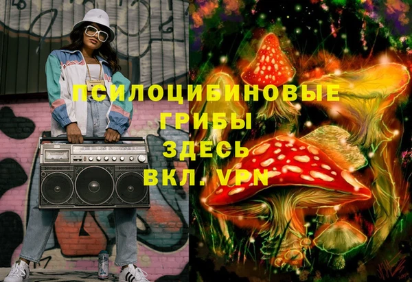стафф Каменка