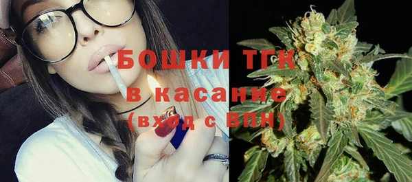 стафф Каменка