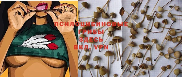 синтетический гашиш Каменногорск