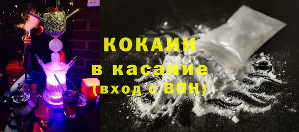 стафф Каменка