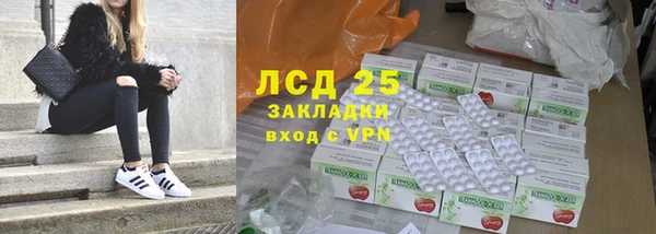 стафф Каменка
